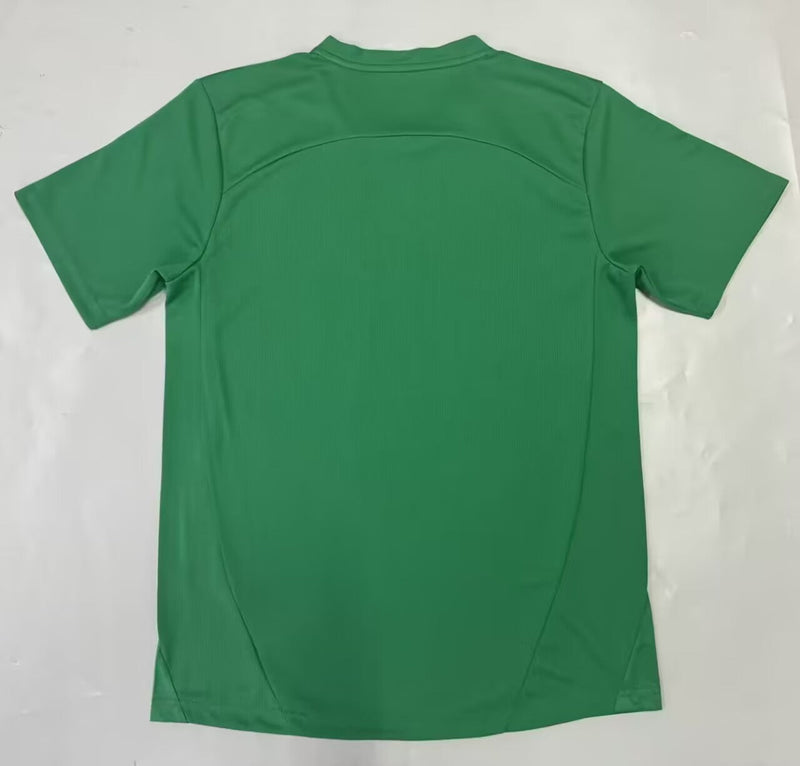 Camisa Palmeiras Verde 25/26