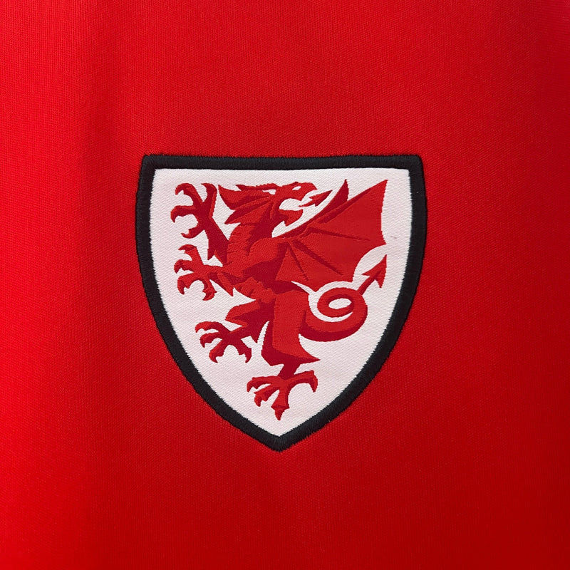 Camisa Seleção País de Gales Home 2024