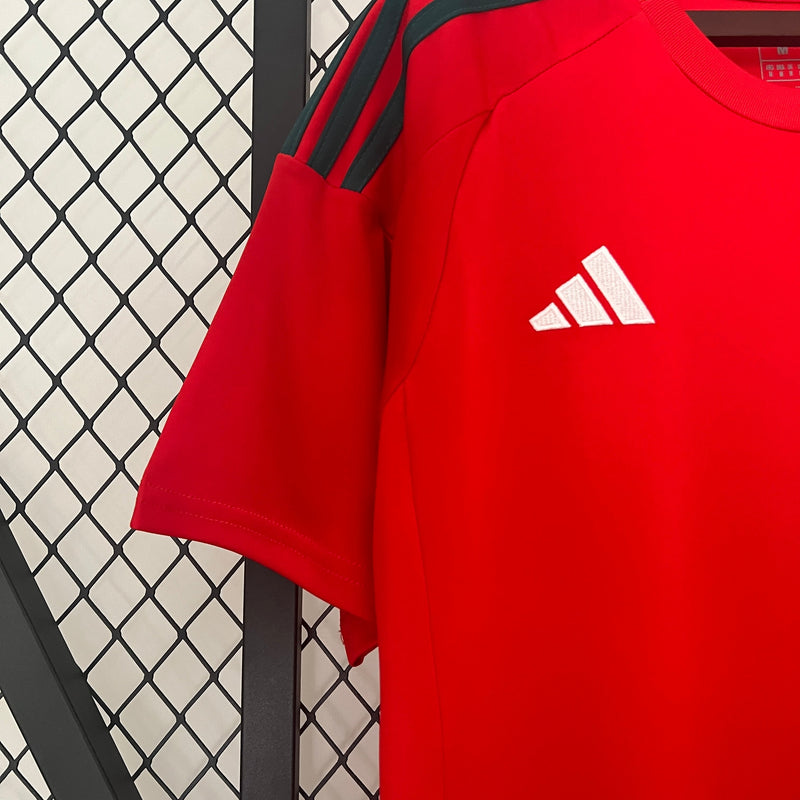 Camisa Seleção País de Gales Home 2024