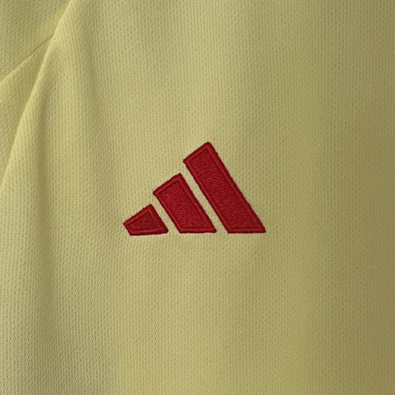 Camisa Seleção País de Gales Visitante 2024